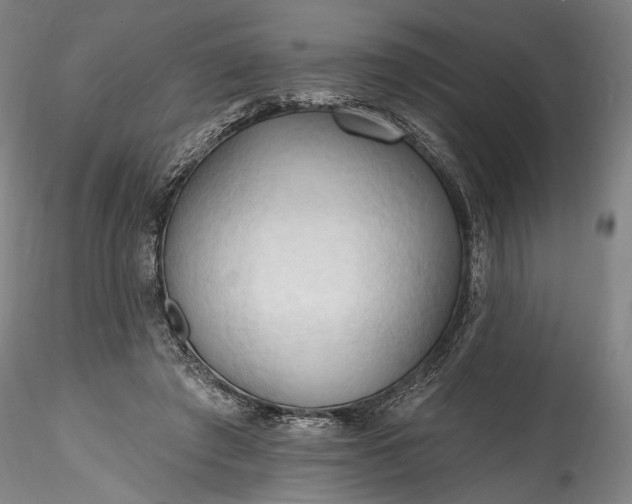 X0000115790401200911271231