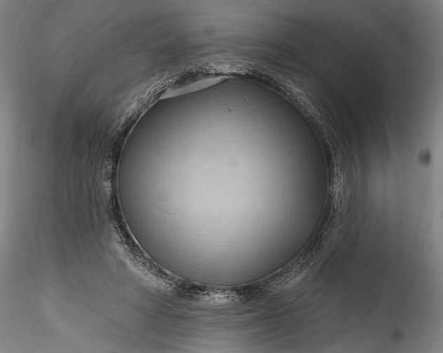 X0000115790402200911271231