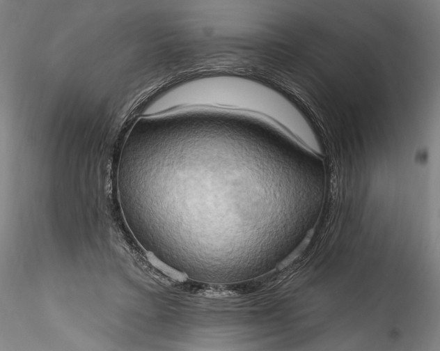 X0000115790403200911271231