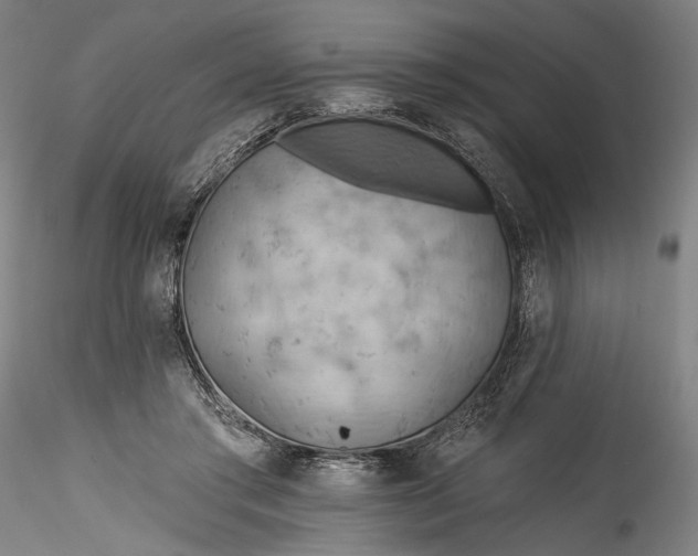 X0000115790405200911271231