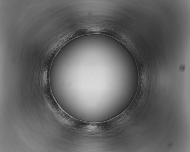 X0000115790406200911271231