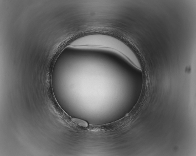 X0000115790407200911271231