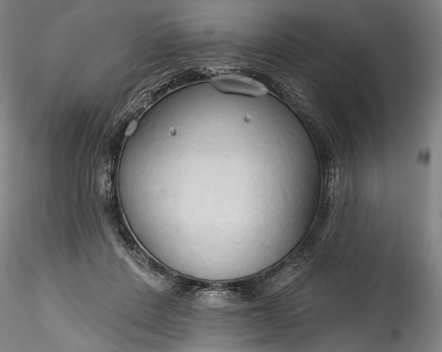 X0000115790408200911271231