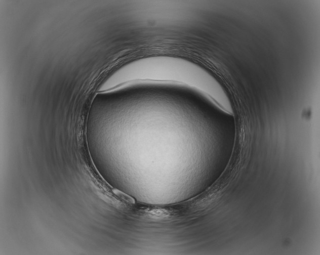 X0000115790409200911271231