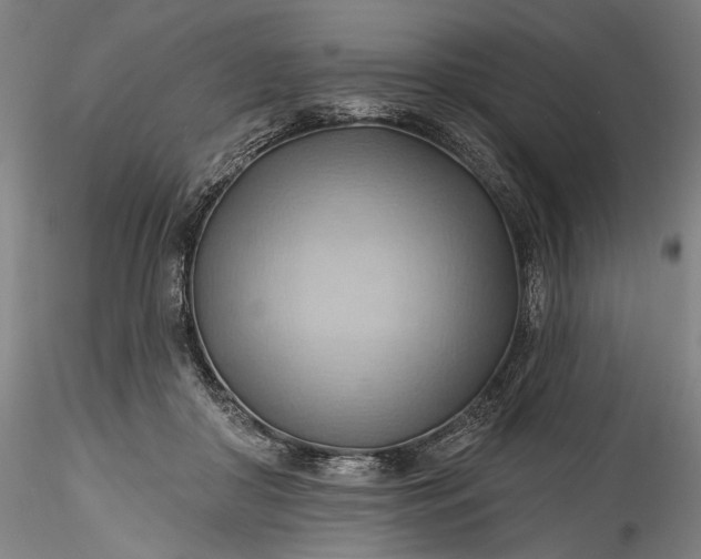 X0000115790410200911271231