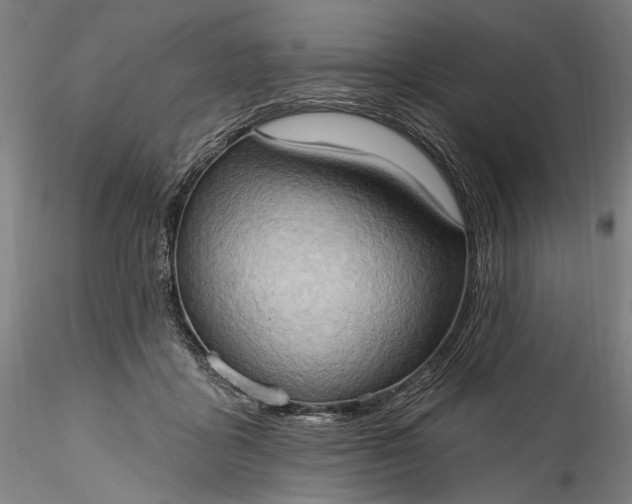 X0000115790411200911271231