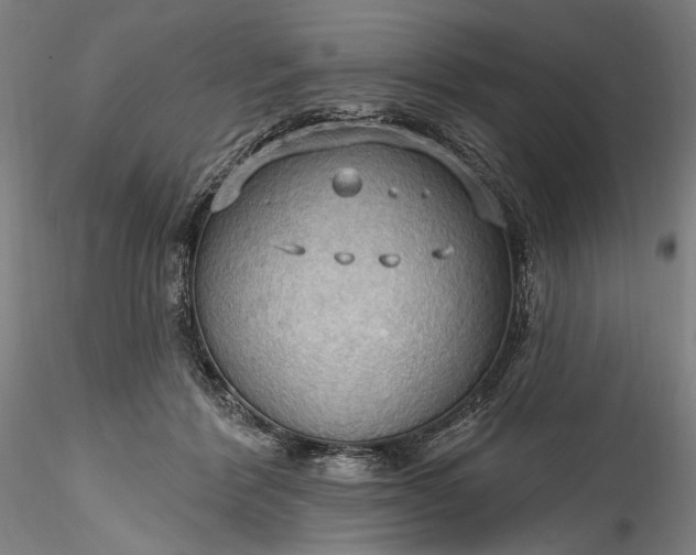 X0000115790412200911271231