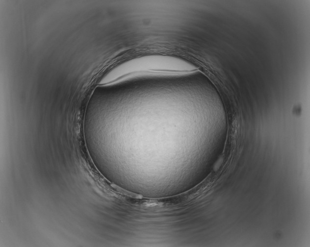 X0000115790413200911271231