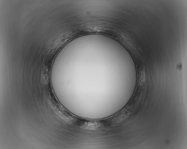 X0000115790414200911271231