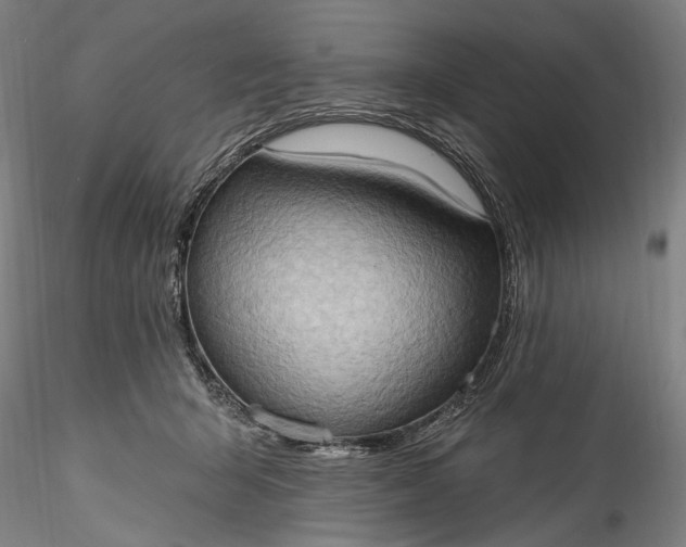 X0000115790415200911271231