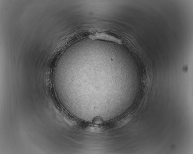 X0000115790416200911271231