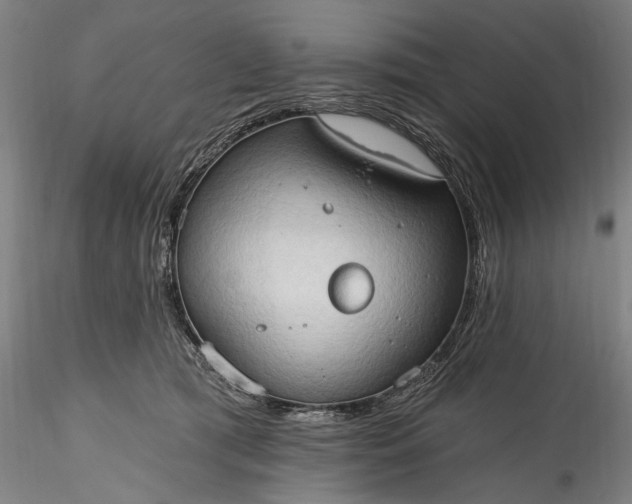 X0000115790417200911271231