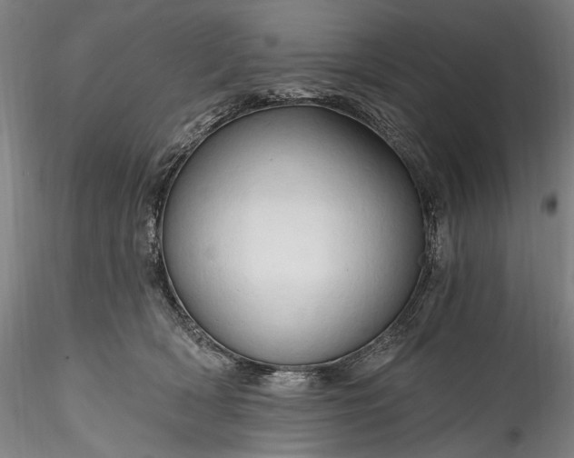 X0000115790418200911271231