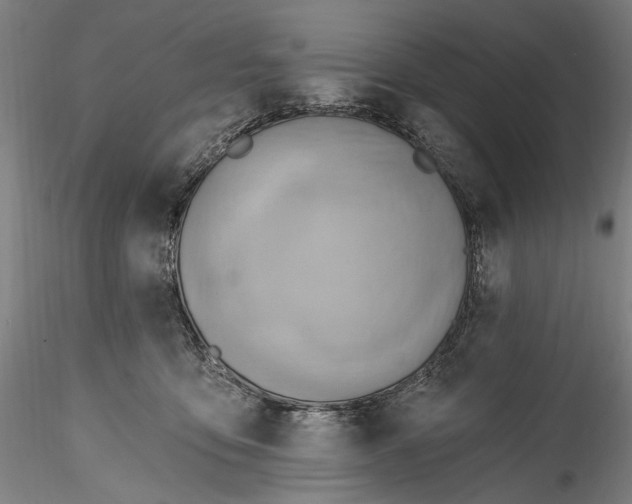 X0000115790419200911271231