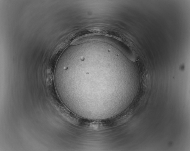 X0000115790420200911271231