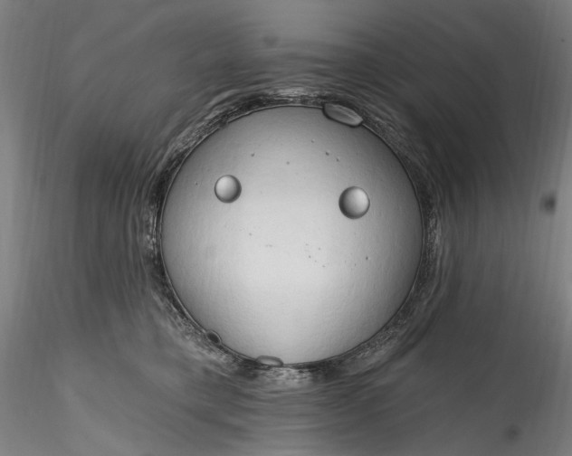 X0000115790421200911271231