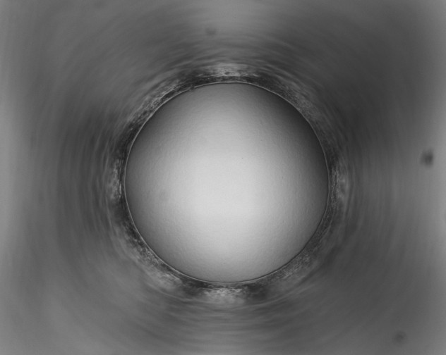 X0000115790422200911271231