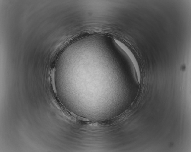 X0000115790423200911271231