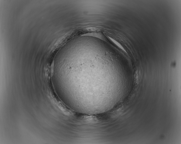 X0000115790424200911271231