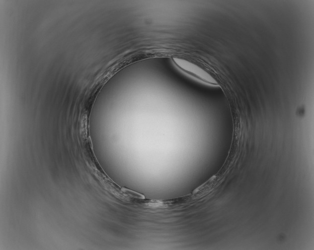 X0000115790425200911271231