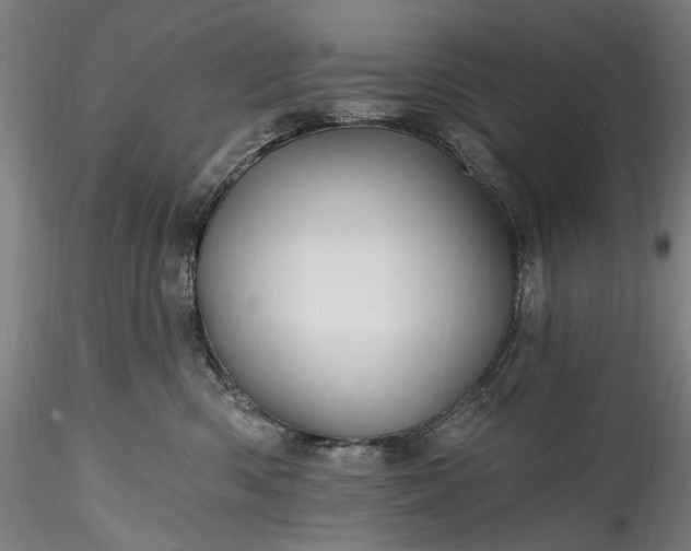 X0000115790426200911271231