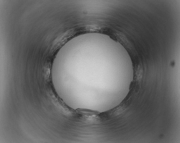 X0000115790427200911271231