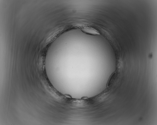 X0000115790428200911271231