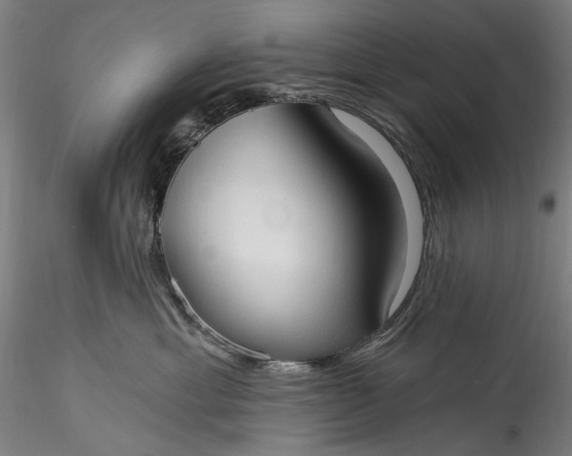 X0000115790429200911271231