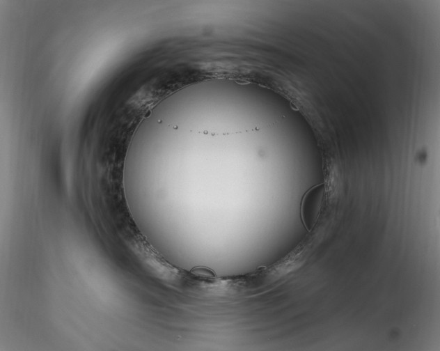 X0000115790430200911271231