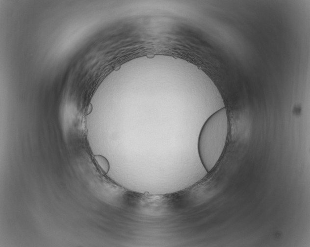 X0000115790431200911271231