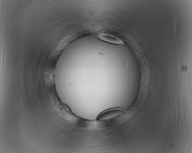 X0000115790432200911271231