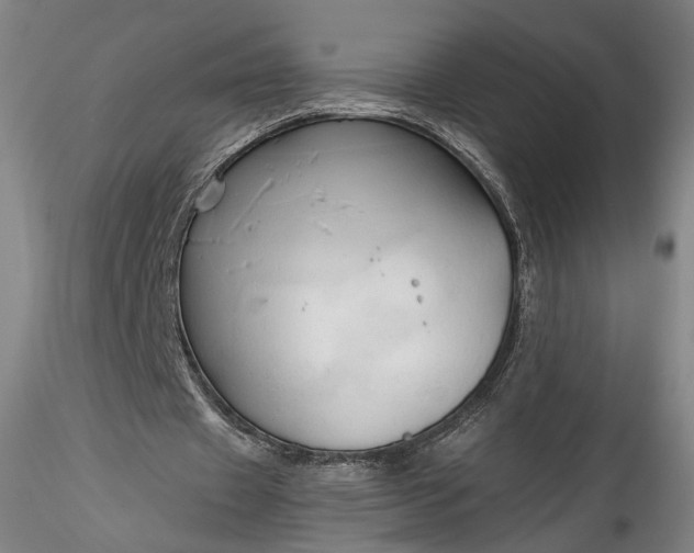 X0000115790433200911271230