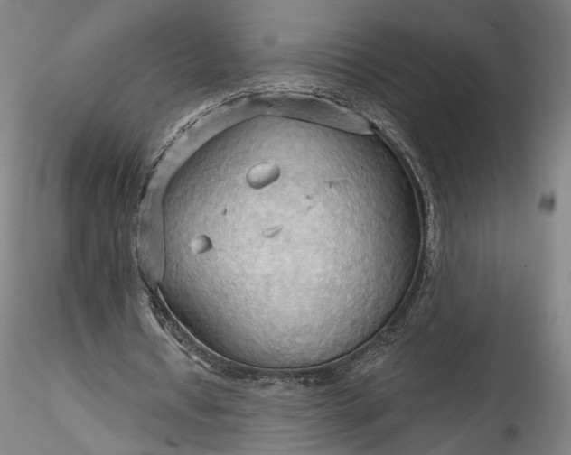 X0000115790434200911271230