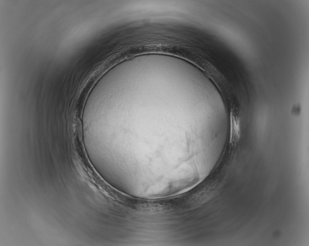 X0000115790435200911271230