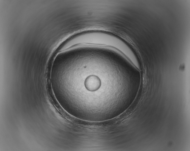 X0000115790436200911271230