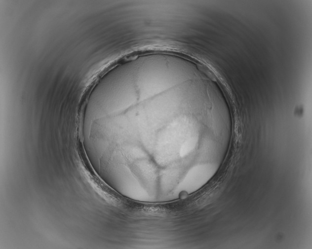 X0000115790437200911271230