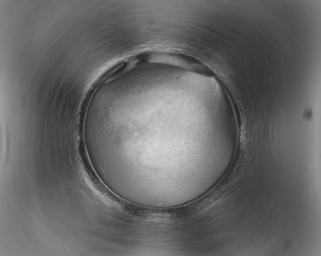 X0000115790438200911271230