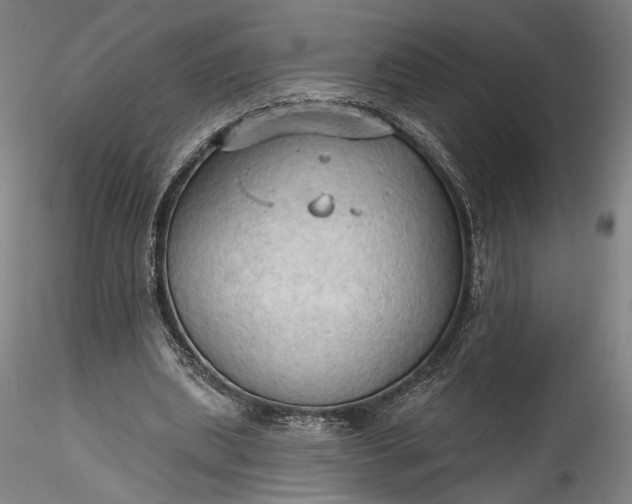 X0000115790439200911271230