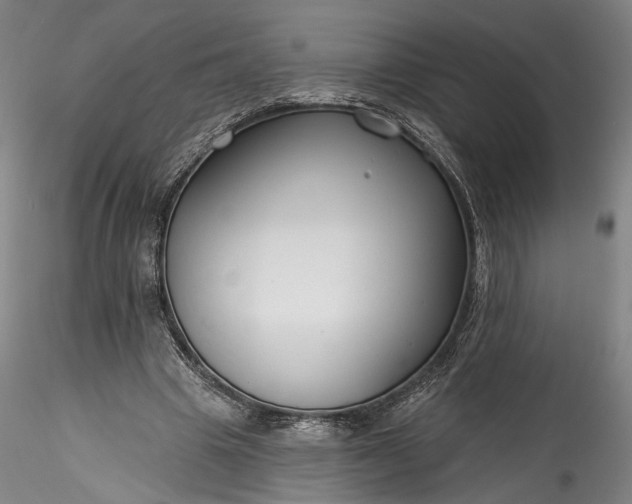 X0000115790441200911271230