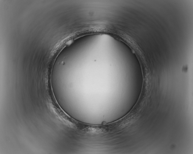 X0000115790442200911271230