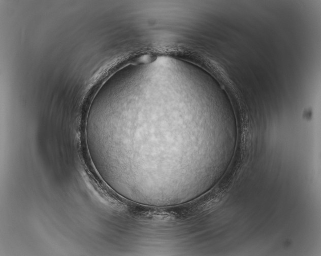 X0000115790443200911271230