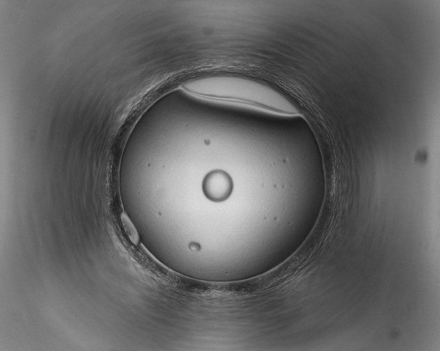 X0000115790444200911271230