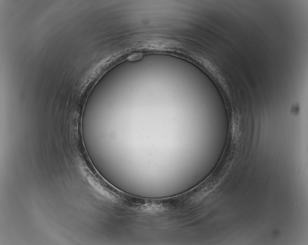 X0000115790445200911271230