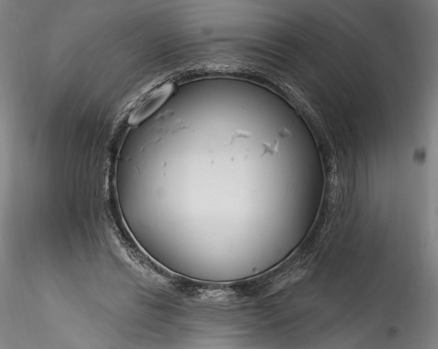 X0000115790446200911271230