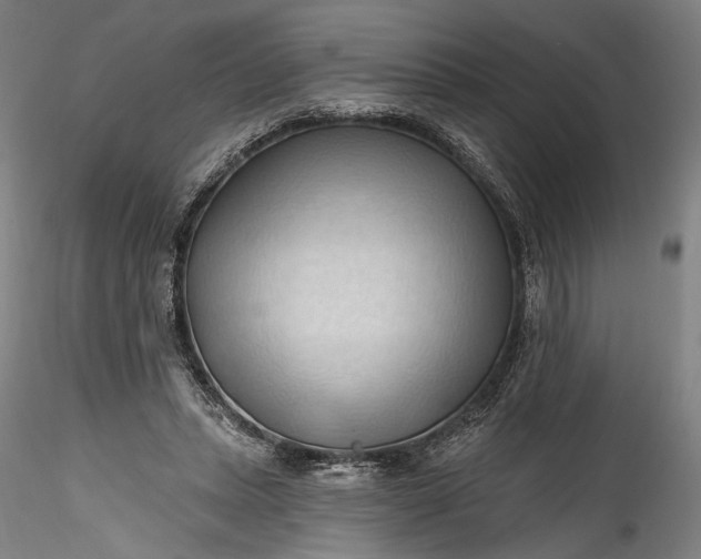 X0000115790447200911271230