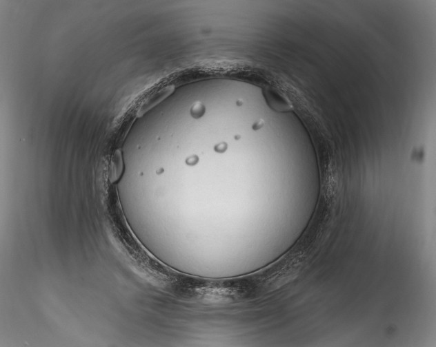 X0000115790448200911271230