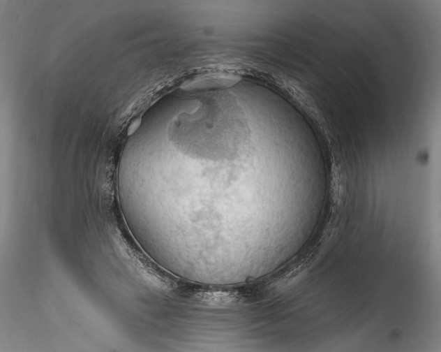 X0000115790449200911271230