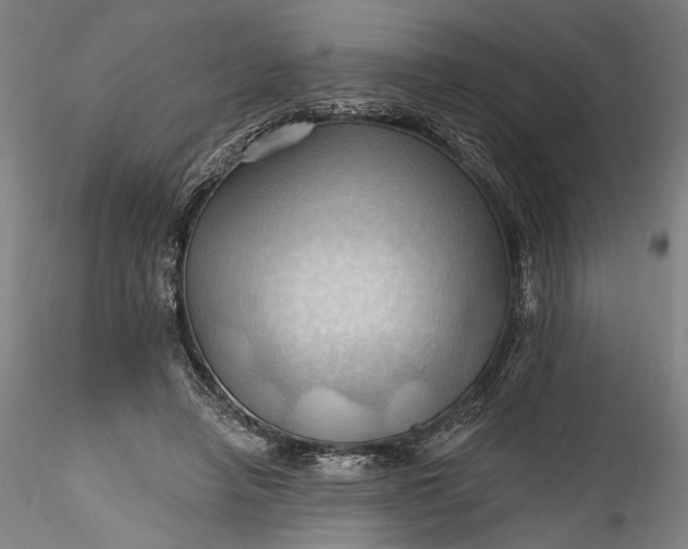 X0000115790450200911271231