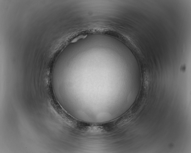 X0000115790451200911271231