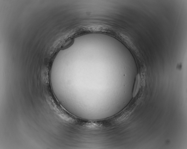 X0000115790453200911271231